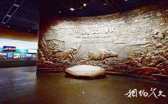 武义博物馆旅游攻略之常设展厅