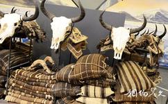 西藏牦牛博物馆旅游攻略之牦牛驮鞍