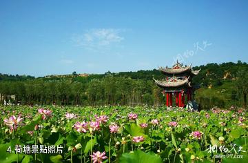 渭南桃花源民俗文化園-荷塘照片