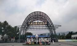 呼和浩特大青山野生動物園驢友相冊