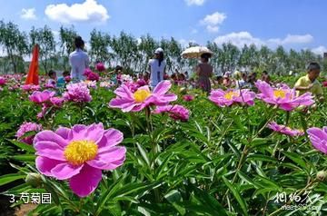 黑龙江农业经济职业学院芍菊古苑景区-芍菊园照片