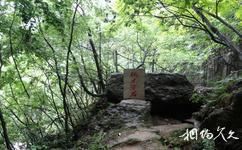 南漳香水河旅遊攻略之楠木穿石