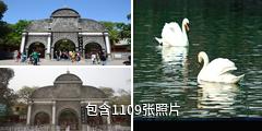 北京动物园驴友相册