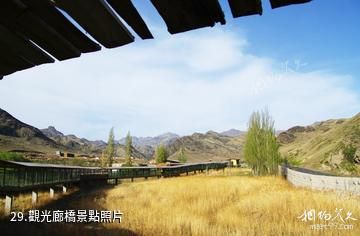 新疆天山野生動物園-觀光廊橋照片
