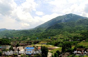 雅安滎經雲峰山景區-馬耳山生態觀光區照片