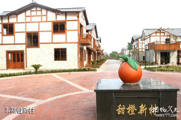 武胜白坪飞龙乡村旅游度假区-甜橙新村照片