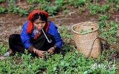 滄源翁丁佤族村寨旅遊攻略之佤族女人