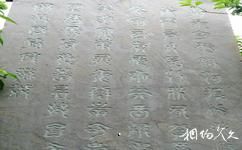 蚌埠涂山—白乳泉旅游攻略之岣嵝碑