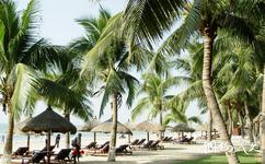 海南三亚湾度假区旅游攻略之椰梦长廊