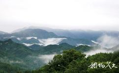 河南宝天曼国家级自然保护区旅游攻略之云海