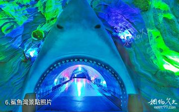 永泰歐樂堡海洋世界-鯊魚灣照片