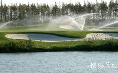 上海滨海森林公园旅游攻略之高尔夫练习场