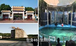 中山紫马岭公园驴友相册