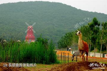 北方森林動物園-長頸鹿館照片