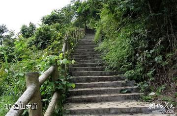广西凤山岩溶国家地质公园-登山步道照片