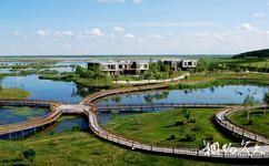 佳木斯富锦国家湿地公园旅游攻略之观赏区
