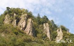 杭州神龙川风景旅游攻略之飞龙岭