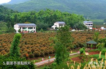 銅梁桂花博覽園-觀景亭照片