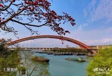 南宁园博园-景观桥照片