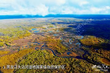 黑龙江大沾河湿地国家级自然保护区照片