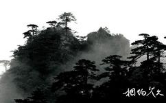 吉安井岡山旅遊攻略之石猴峰