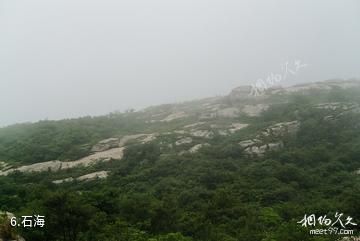 连云港市高公岛风景游览区-石海照片