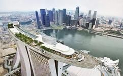 新加坡金沙酒店空中花园旅游攻略之空中花园