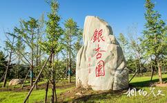 西安周至秦嶺國家植物園旅遊攻略之銀杏園