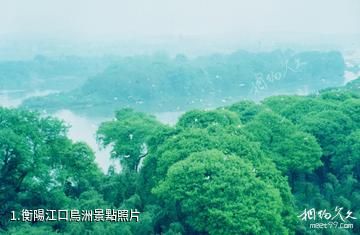 衡陽江口鳥洲照片