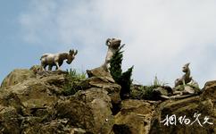 台州臨海羊岩山旅遊攻略之羊岩之巔