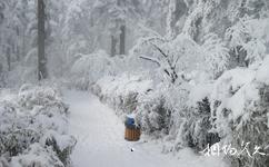 杭州东明山森林公园旅游攻略之东明山冬雪