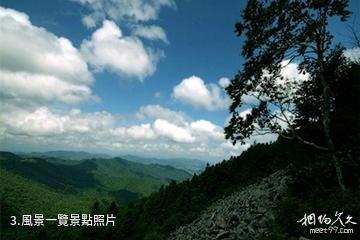 通化市白雞腰國家森林公園-風景一覽照片