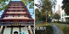 绍兴永和塔驴友相册