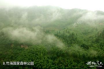 赤水风景区-竹海国家森林公园照片