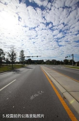 美國南佛羅里達大學-校園前的公路照片