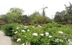 西安植物园旅游攻略之百卉园