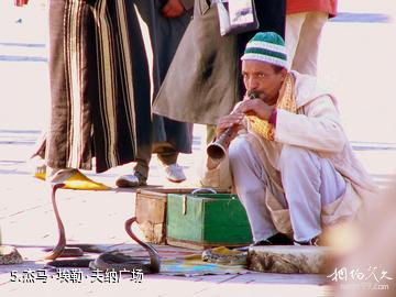 摩洛哥马拉喀什-杰马·埃勒·夫纳广场照片
