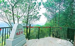 萬州三峽古楓香園旅遊攻略之1314.520觀景台