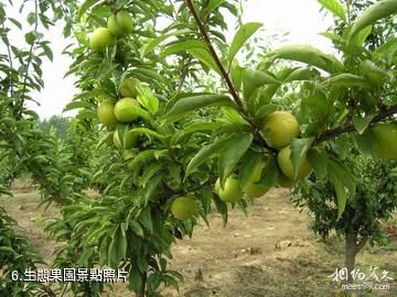 鄭州金鷺鴕鳥遊樂園-生態果園照片