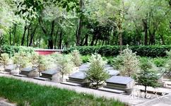 奇台县烈士陵园旅游攻略之烈士陵墓