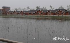 北京國際園林博覽會旅遊攻略之濕地展園