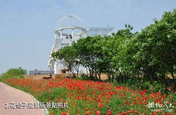 日照花仙子風景區-花仙子風景區照片