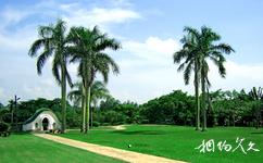 湛江南亚热带植物园旅游攻略之绿色草坪广场