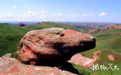 寧夏西吉火石寨國家地質公園旅遊攻略之奇石