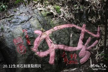 郴州王仙嶺旅遊區-12生肖石刻照片