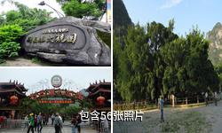 桂林刘三姐大观园驴友相册