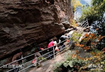 安庆白崖寨风景区-白崖云梯照片