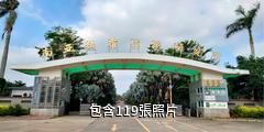 湛江南亞熱帶植物園驢友相冊