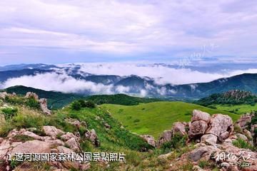 遼河源國家森林公園照片