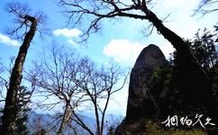 陕西木王国家森林公园旅游攻略之冠云峰